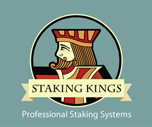 Staking Kings Logo